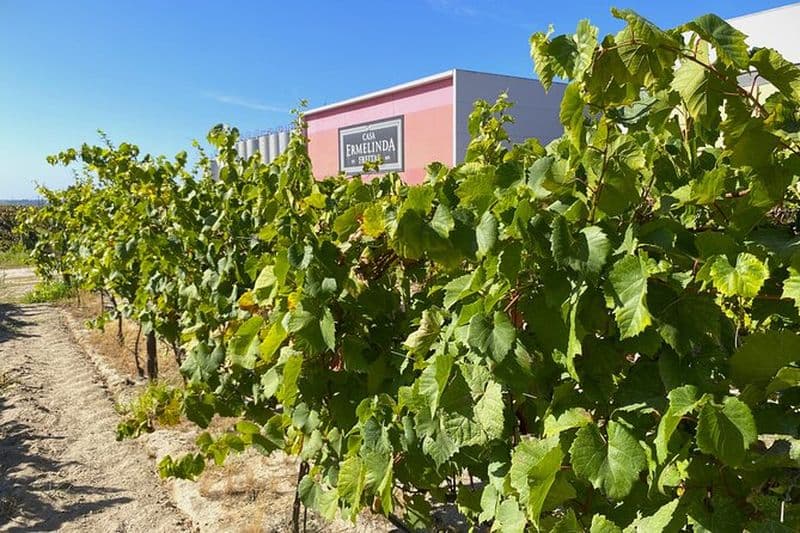 Billet Visite privée des vignobles du nord de Lisbonne