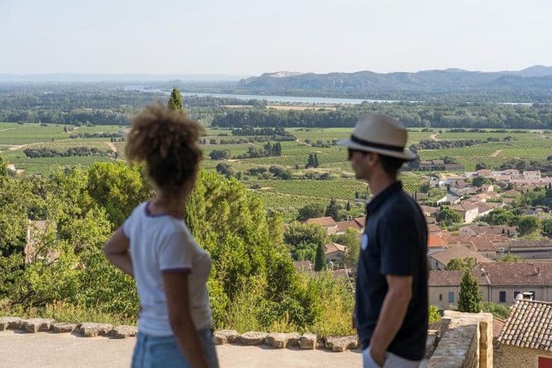 Billet Visite des vignobles de Châteauneuf-du-Pape au départ d'Avignon