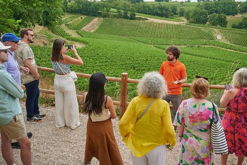 Billet Dégustation de vins à Saint-Émilion