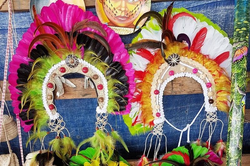 Billet Excursion à la Rencontre des Eaux depuis Manaus