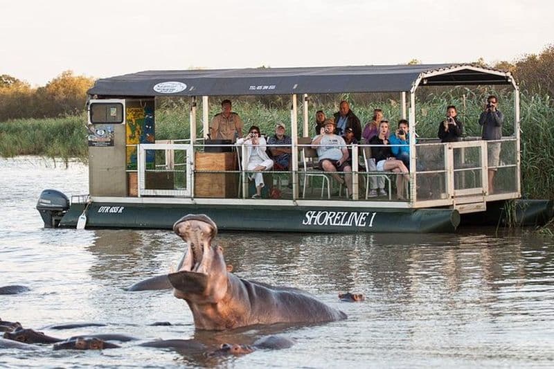 Billet Balade en bateau pour voir des hippopotames et des crocodiles à Sainte-Lucie