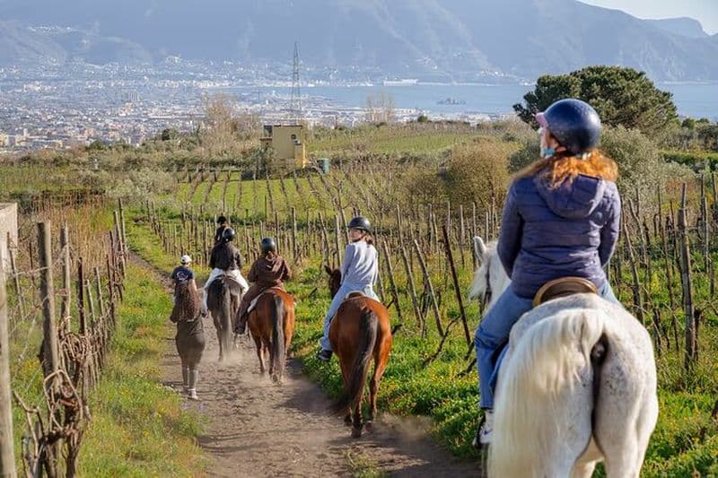 Les meilleures activités terrestres à Sorrente