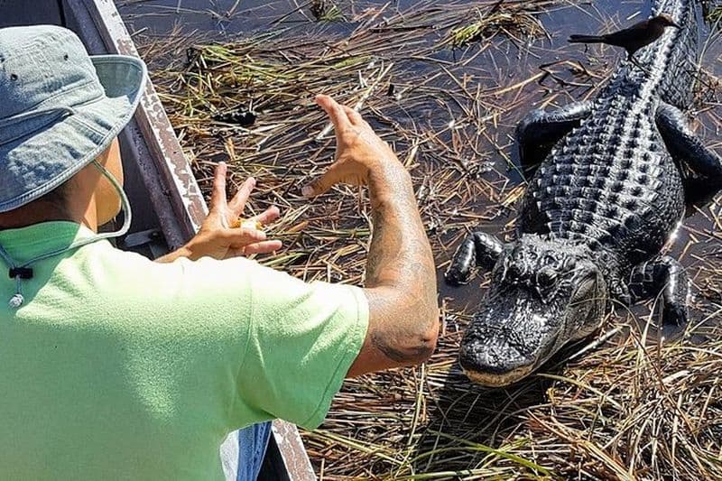 Billet Balade en hydroglisseur dans les Everglades depuis Miami pour petits groupes