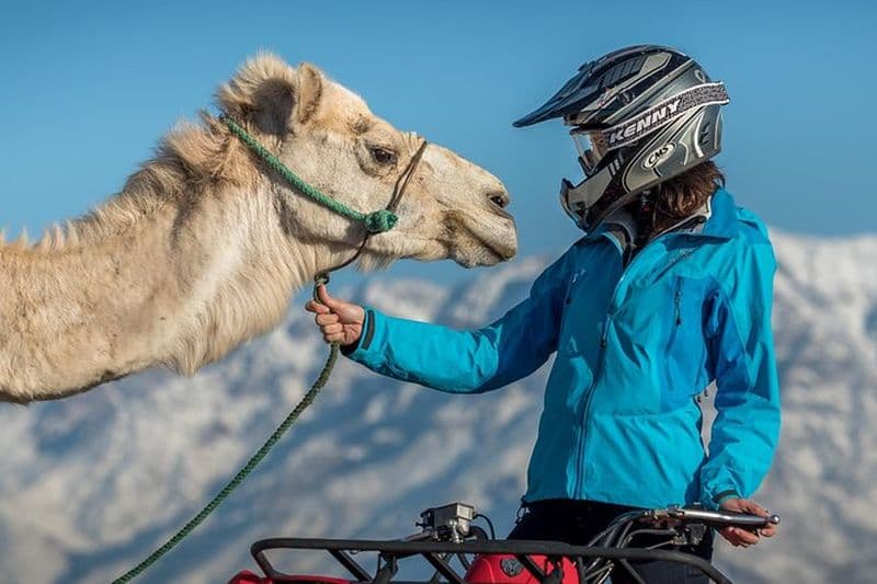 Billet Balade en quad et promenade à dos de chameau à Marrakech