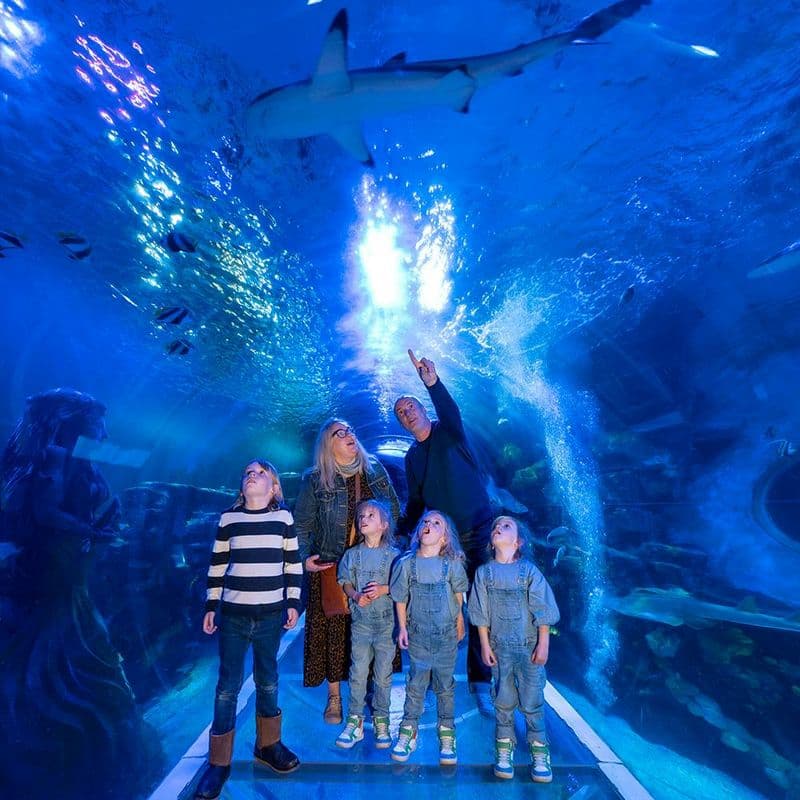 Billet Billets pour le SEA LIFE de Birmingham