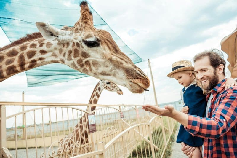 Billet Billets pour le zoo de Hellabrunn avec transfert aller-retour depuis Munich