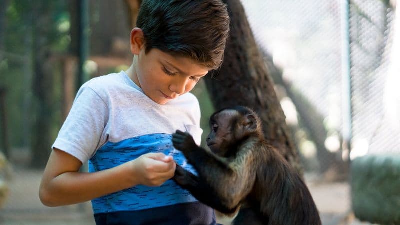 Billet Balade en quad à Akumal avec visite du sanctuaire des singes et baignade dans un cénote