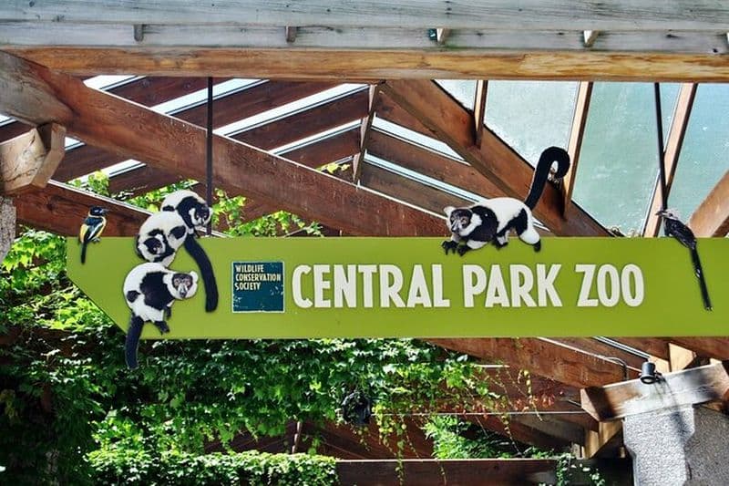 Billet Visite guidée de Manhattan avec entrée au zoo de Central Park