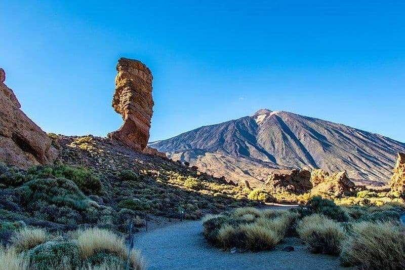 Billet Excursion au Teide, à Icod, à Garachico et à Masca à Tenerife