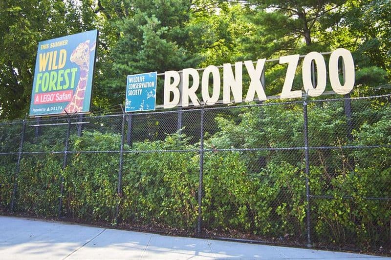 Billet Billets coupe-file pour le zoo du Bronx avec transferts privés