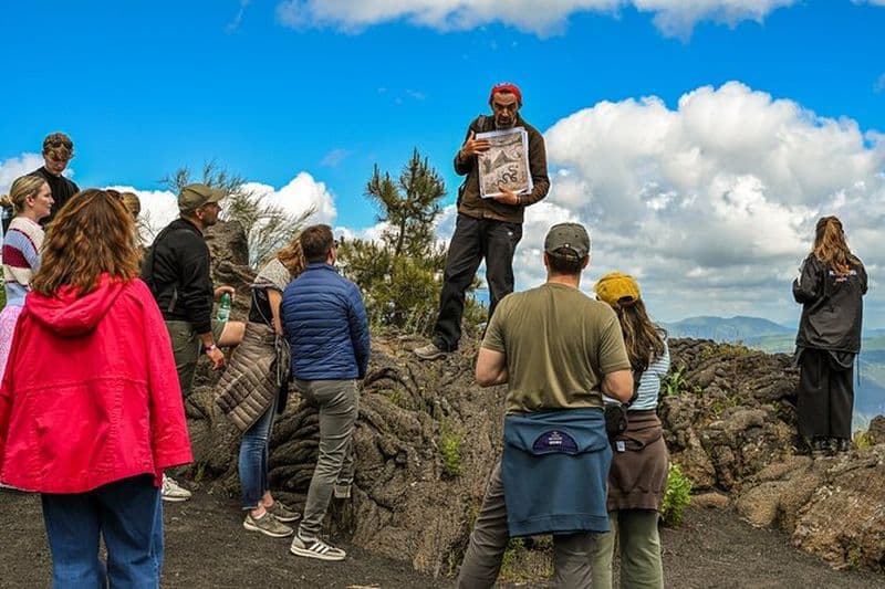 Billet Excursion au Mont Vésuve et à Pompéi depuis Naples