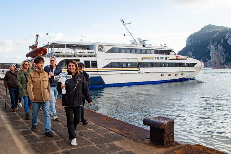 Billet Excursion à Capri et Pompéi depuis Naples
