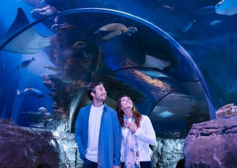 Billet Billets pour Sea Life Grapevine à Dallas