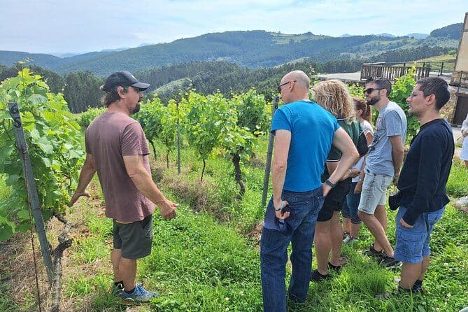 Billet Tour gastronomique à Santander