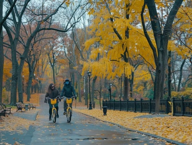 Billet Location de vélos à Central Park