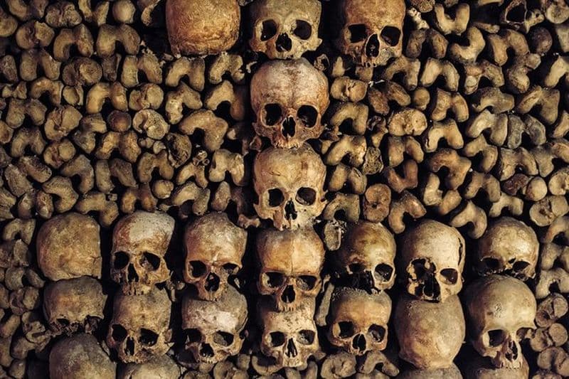 Billet Visite guidée des Catacombes de Paris avec accès spécial