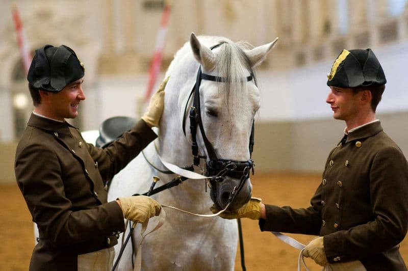 Billet Entraînement de l'École Espagnole d'Équitation à Vienne