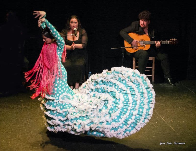 Billet Spectacle de flamenco au Théâtre Flamenco de Triana
