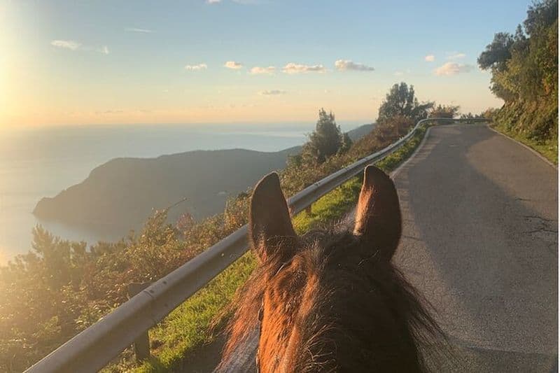Billet Balade à cheval dans les Cinque Terre