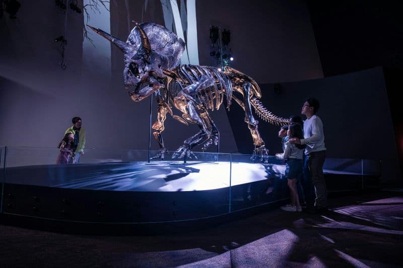 Billet Billets pour le Melbourne Museum