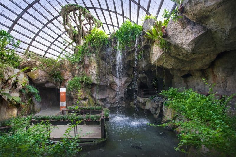 Billet Billets pour Entopia by Penang Butterfly Farm