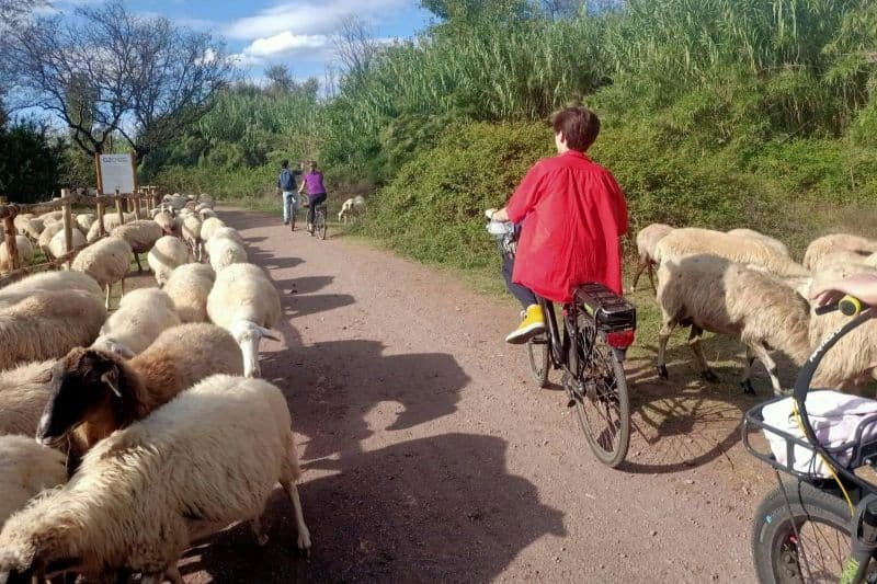 Billet Balade en vélo électrique sur la Voie Appienne de Rome, les aqueducs et les catacombes