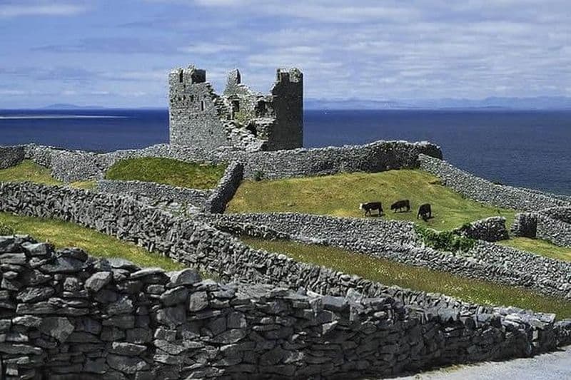 Billet Croisière vers les îles d'Aran et les falaises de Moher depuis Galway
