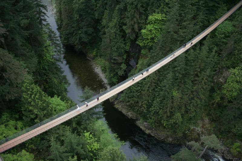 Billet Tour en bus à Vancouver avec billets pour le pont suspendu de Capilano