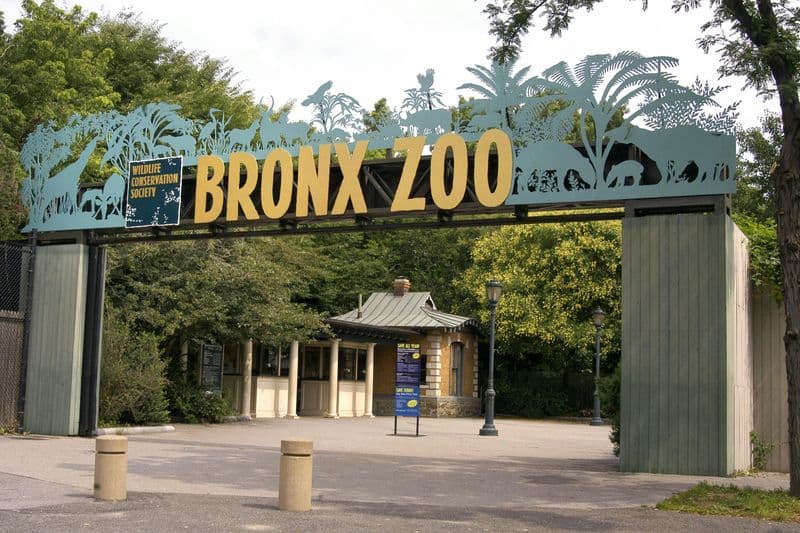 Billet Billets pour le Zoo du Bronx