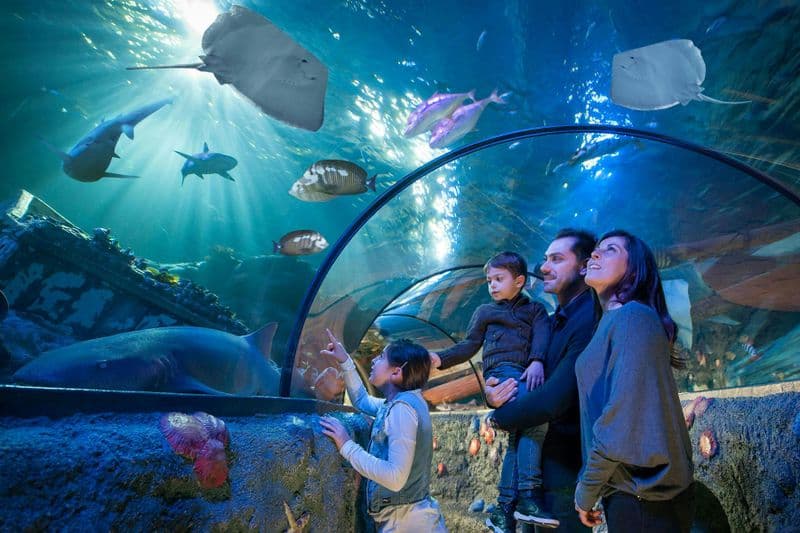 Billet Billets pour Sea Life Gardaland à Castelnuovo del Garda