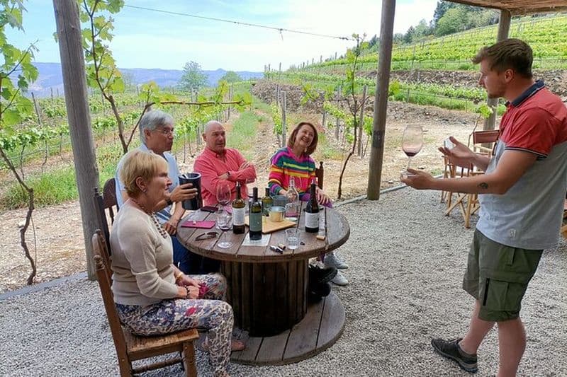 Billet Cours et dégustation de vins à Pinhão