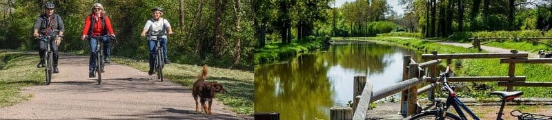 Billet Location de vélos chez Aux Baboteurs