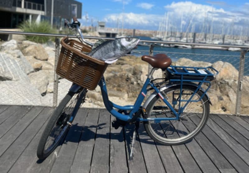 Billet Location de vélos chez Aventure Pêche Bretagne
