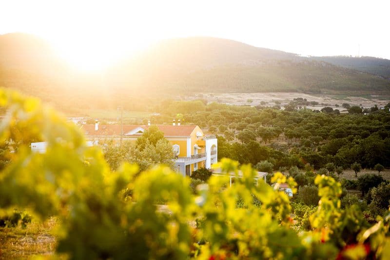 Billet Location de vélos chez Cabeças do Reguengo - Ebikelovers Bike Rental point