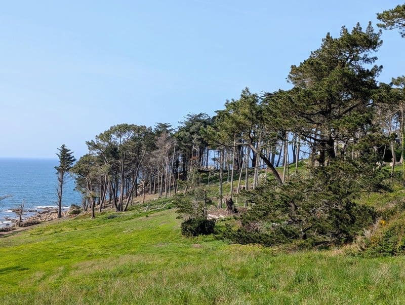 Billet Location de vélos chez Ti'bicyclette