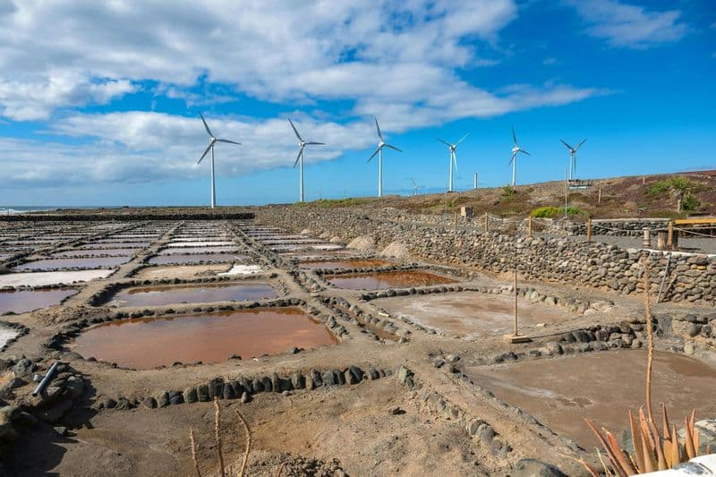 Billet Visite gastronomique, distillerie et repas local, Gran Canaria