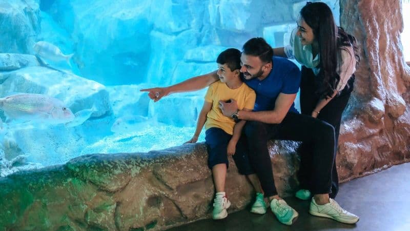 Billet Billets de bus à arrêts multiples pour la visite de la ville de Barcelone avec Aquarium