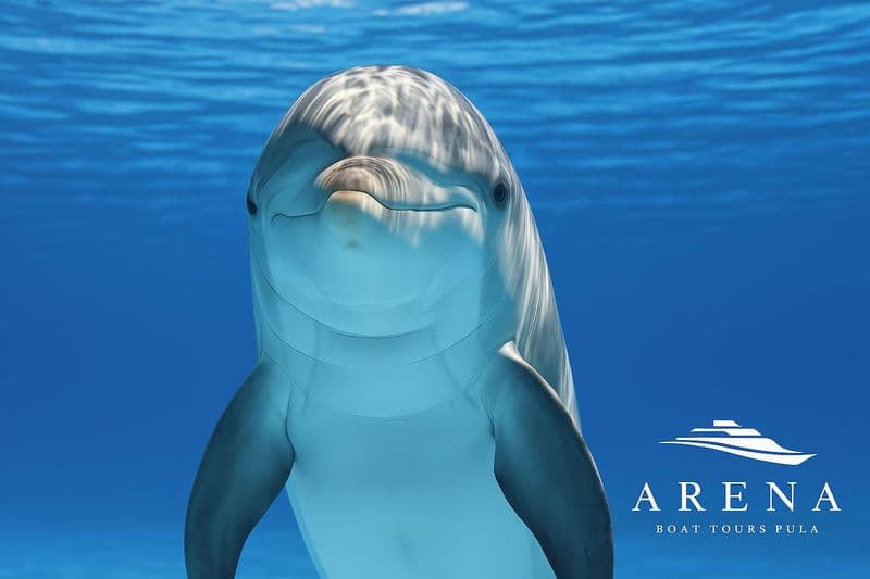 Billet Excursion en bateau au coucher du soleil dans le parc national de Brijuni avec dîner et observation des dauphins