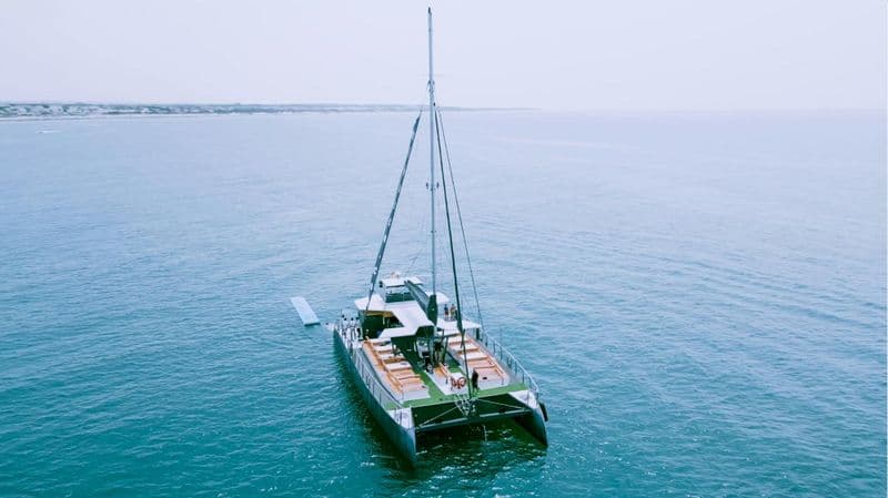 Billet Expérience en catamaran au château de Sancti Petri avec déjeuner