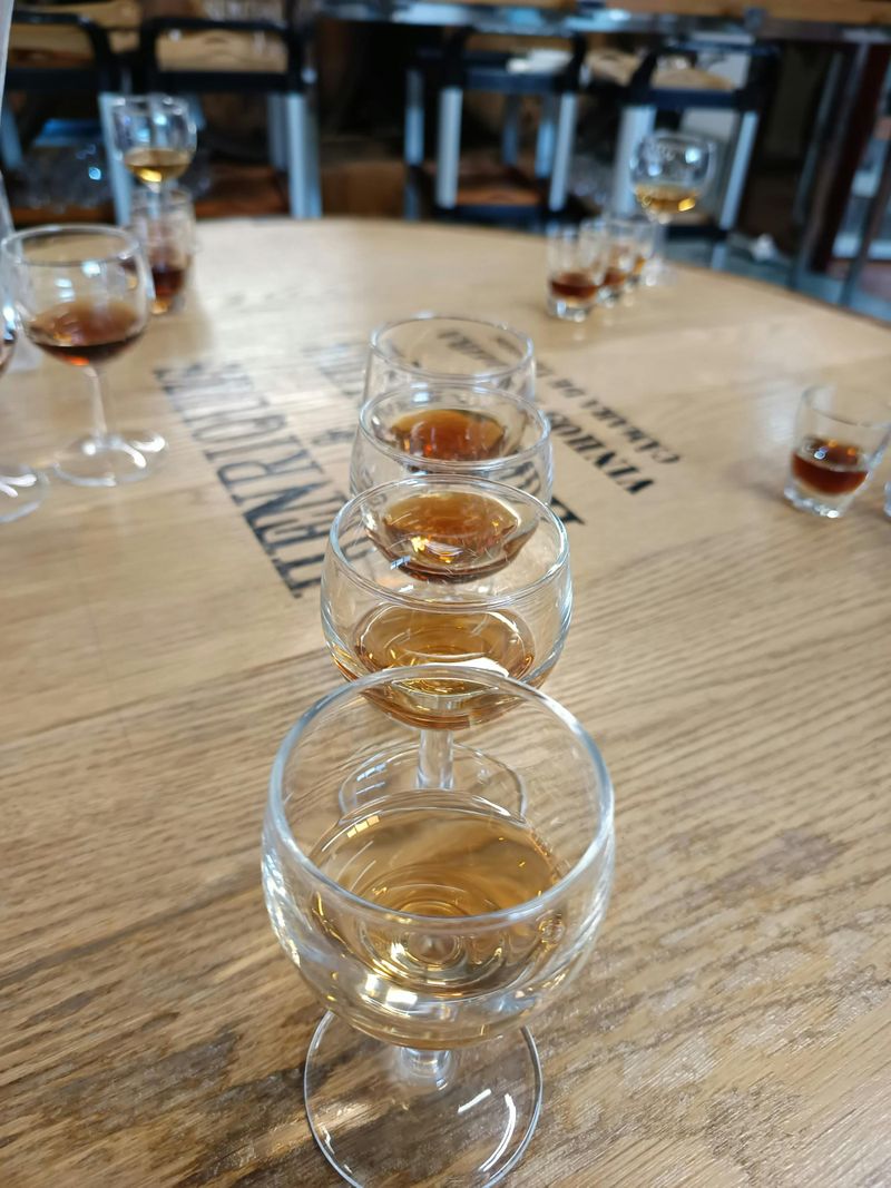 Billet Saveurs et dégustation de vins, skywalk et aventure en jeep 4x4