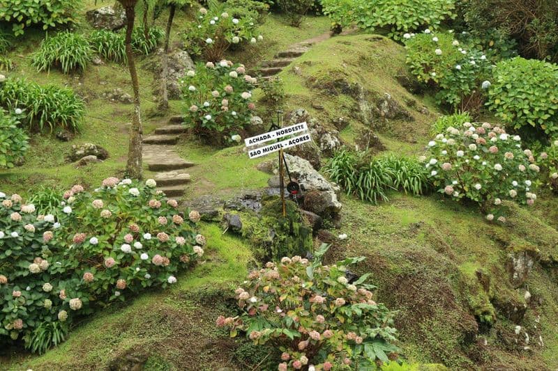 Billet Excursion d'une journée en jeep à la déroute Nordeste en 4x4 tout-terrain