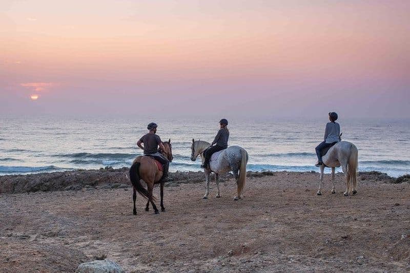 Billet Visite guidée à cheval sur la plage de Bordeira au coucher du soleil