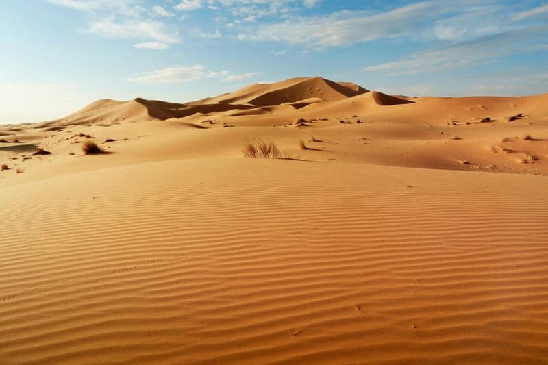 Billet Visite guidée d'une demi-journée des dunes de sable du Sahara au départ d'Agadir