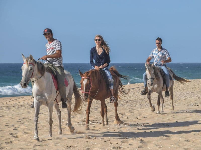 Billet Excursion privée à cheval dans la réserve naturelle de Comporta