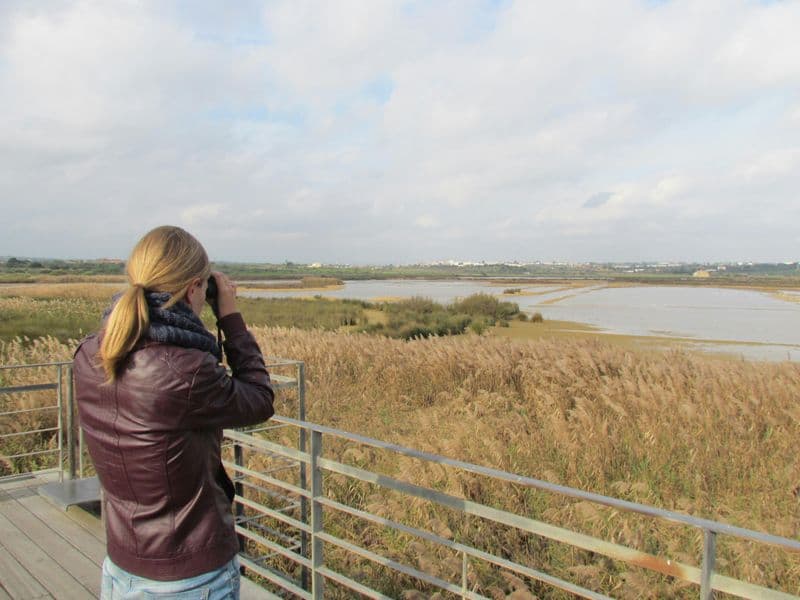 Billet Excursion d'observation des oiseaux d'une demi-journée à Lagoa dos Salgados