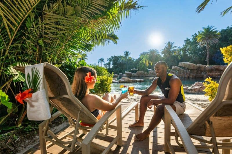 Billet Offre de vente du Nouvel An à Discovery Cove