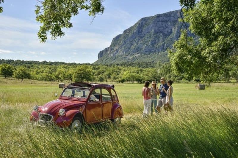 Billet Excursion privée dans les vignobles du Languedoc à bord d'une 2CV décapotable d'époque