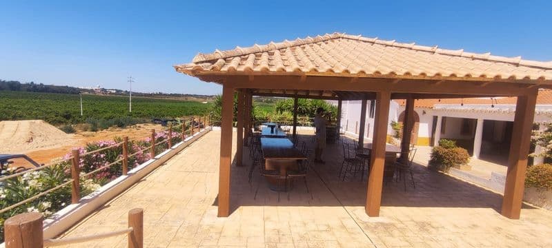 Billet Excursion hors route avec dégustation de vins