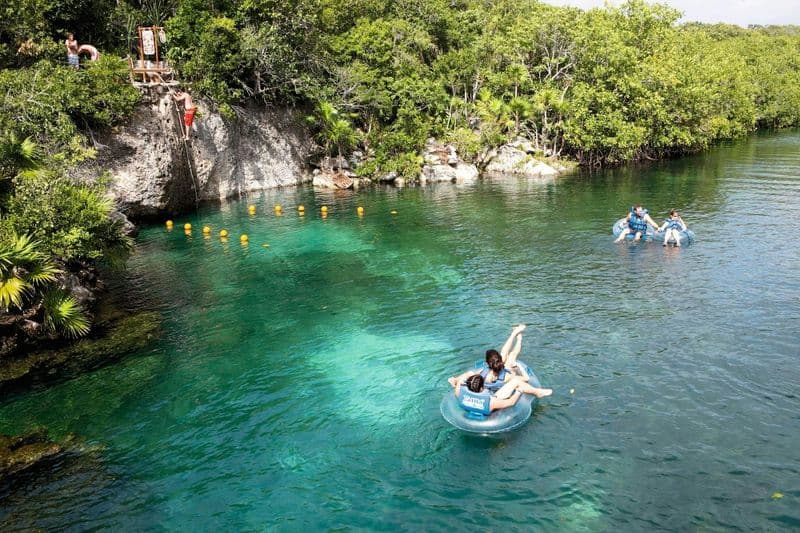 Billet Nage avec les dauphins de Delphinus et billet d'entrée au Xel-Ha Light Park avec transfert