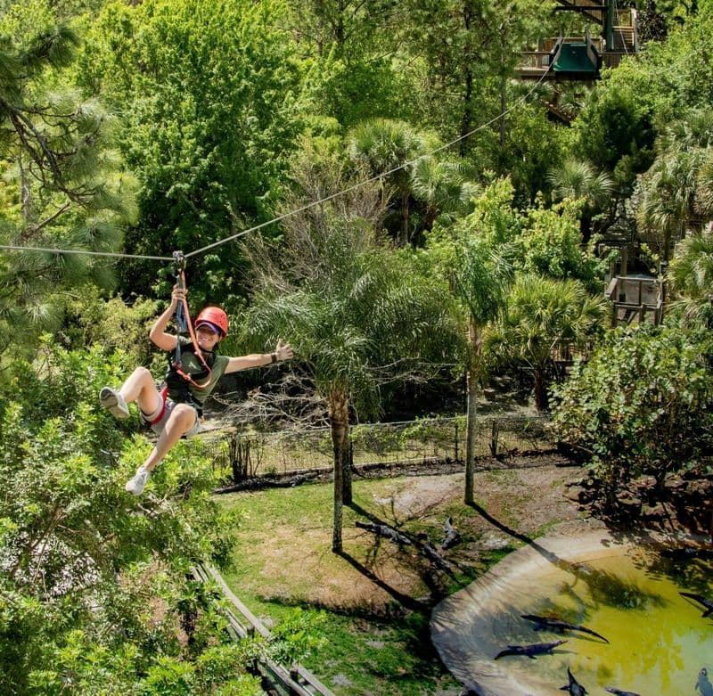 Billet Screamin' Gator Zipline and Gatorland combo admission